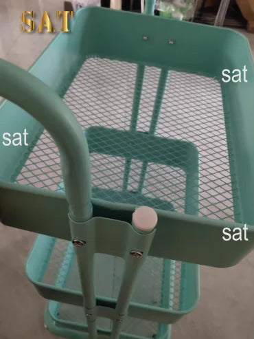 Chariot en acier inoxydable, roues cosmétiques, outil de livres, auxiliaire de manucure, salon de beauté